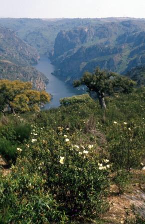 El MARM adjudica por 1