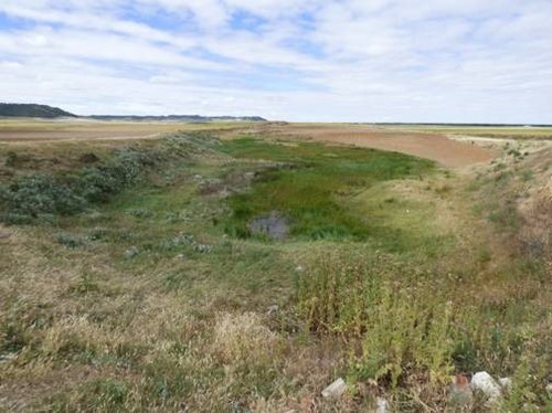 Proyecto de mejora ambiental del Barral Bermejo en Aldea de San Miguel (Valladolid)