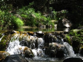 La Junta invierte 896.000 euros en la adecuación de 28 cauces de ríos y arroyos de la Axarquía