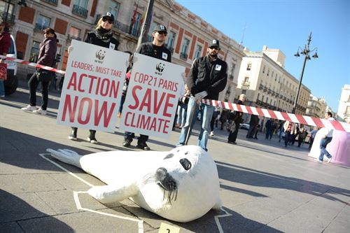 Los peligros para la biodiversidad a causa del cambio climático