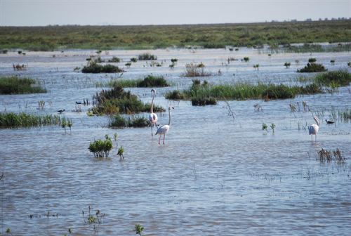Andalucía. El Ayuntamiento de Hinojos (PSOE-IU) demandará a la Junta si en tres meses no convoca la comisión del Potad