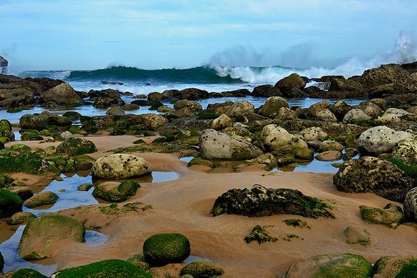La Dirección General de Sostenibilidad dice que el litoral cántabro es uno de los mejores conservados de España