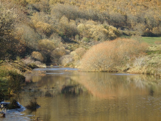 Convenio entre Cambera y la Confederación Hidrográfica del Duero para la conservación del río Camesa.