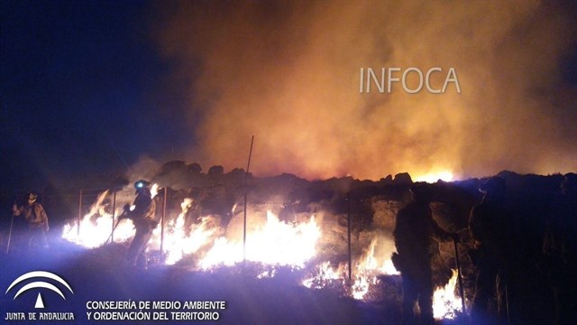Activado un incendio forestal en la zona militar de Las Navetas en Ronda (Málaga)