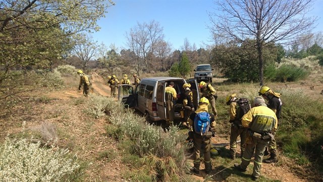 Exigen al Congreso regular a nivel estatal la actividad de los agentes forestales