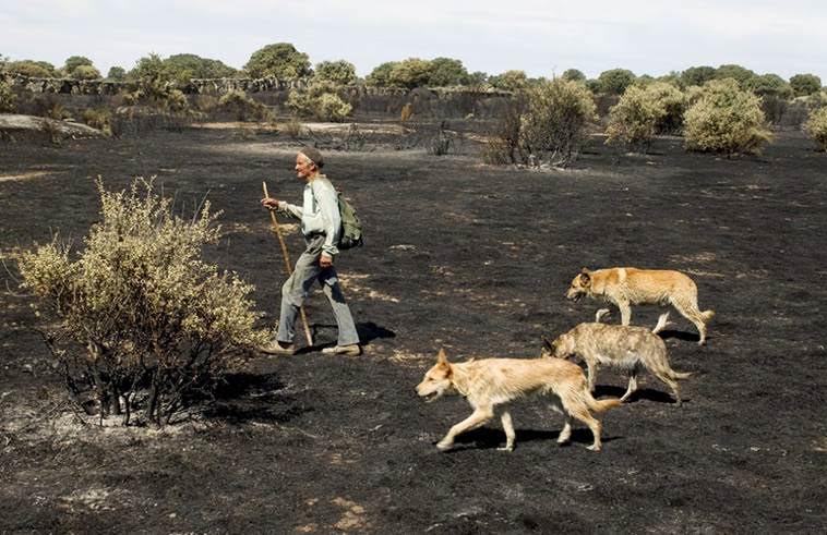 La retirada de los acotamientos en Asturias es inconstitucional