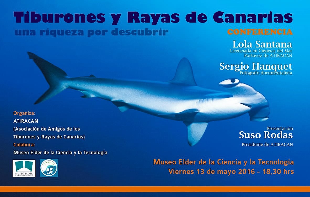 Tiburones y rayas de Canarias