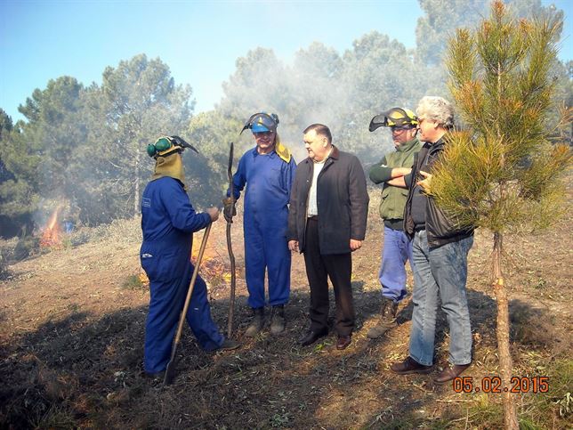 Andalucía acomete trabajos de prevención de incendios forestales
