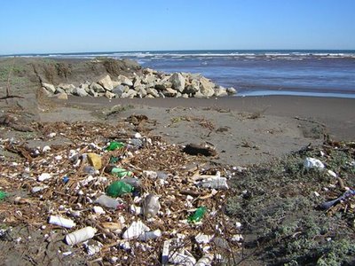Ecologistas apuntan 62 Banderas Negras a playas de Andalucía