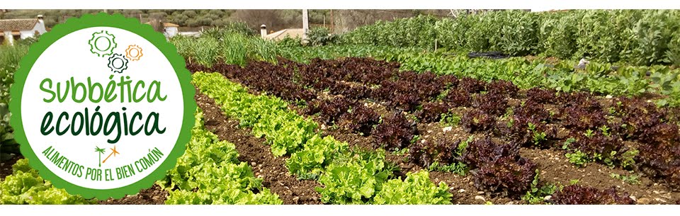 Subbética Ecológica (España) llevará a Chile su ejemplo de Economía del Bien Común