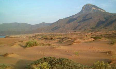 ANSE pide a la comunidad autónoma que aplique la normativa del Parque Regional de Calblanque para recuperar la zona quemada y lucha contra futuros incendios