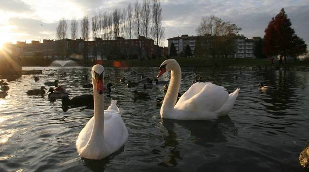 El vaciado del lago de Mendillorri se inicia hoy