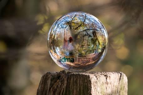 IIDMA reclama más transparencia a las Administraciones en relación a la información medioambiental