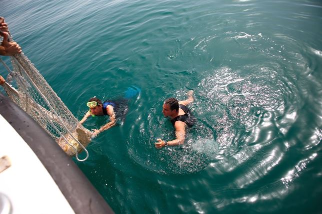 Málaga financia al ‘Crema’ para el cuidado de especies marinas