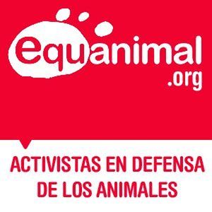 Un barco de Fundación Equanimal navegará este sábado por la ría de Bilbao para pedir la abolición de la tauromaquia