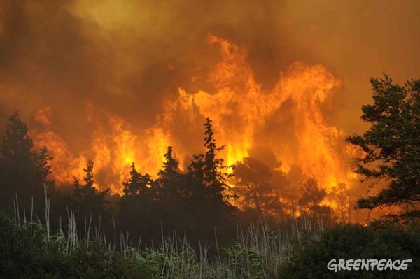 Algo falla en la gestión de los incendios forestales