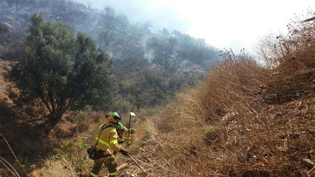 Controlado un incendio forestal en el paraje de la Loma de Molina en Marbella