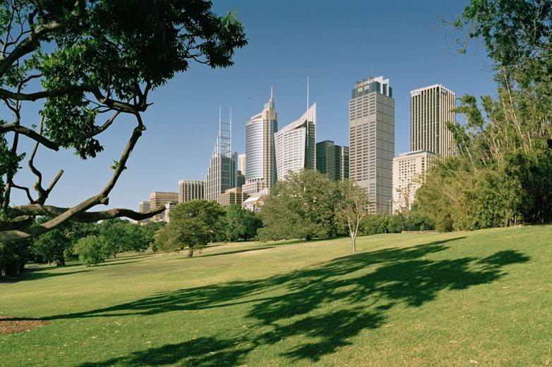 Worldwatch Institute (WWI) apuesta por las ciudades sostenibles