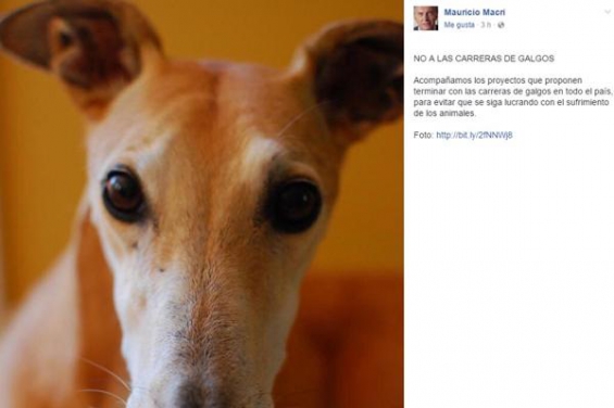 El presidente de Argentina se posiciona en contra de las carreras de galgos