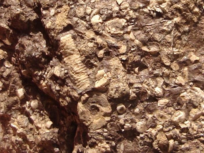 Fósiles de gotas de lluvia de hace 27.00 millones de años revelan la alta presencia de gases de invernadero