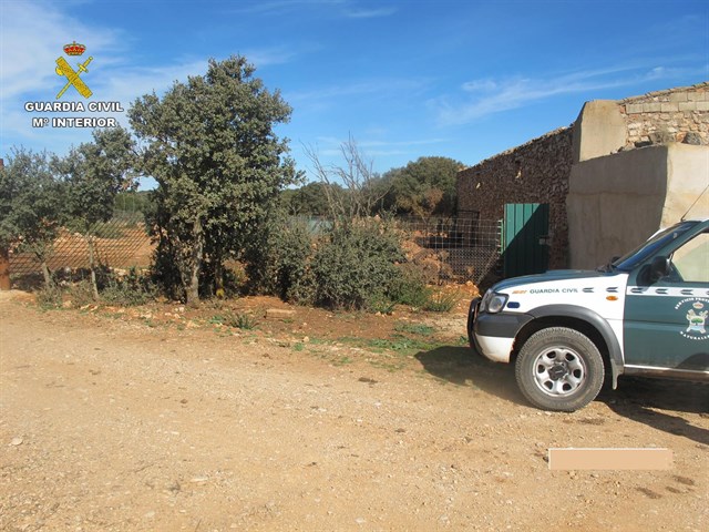 El SEPRONA interviene 347 ejemplares de muflón y jabalí en Cuenca