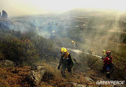 Ecologistas demandan la acción urgente de la UE ante los problemas de los bosques europeos