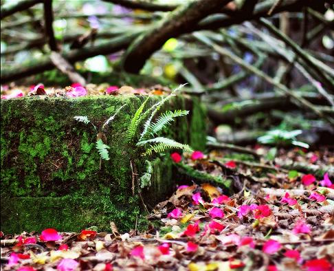 Medio Ambiente ofrece plazas del programa de visitas para ver los espacios naturales protegidos
