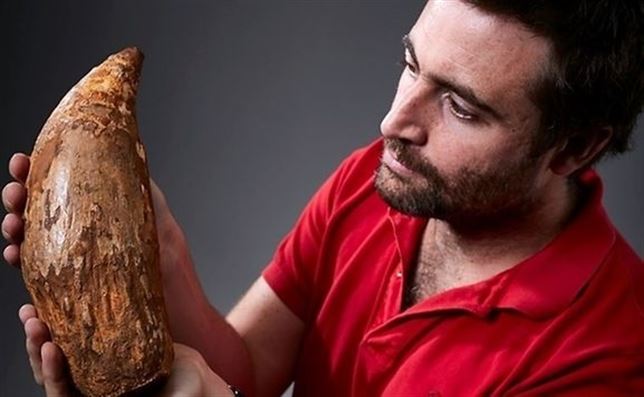 Qué sabes del T-Rex