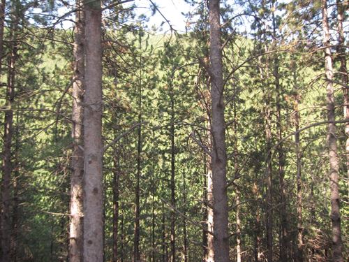 España espera que el acuerdo de París sobre cambio climático sea ‘vinculante’