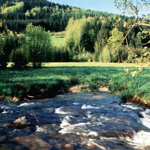 Jóvenes de toda Europa descubrirán técnicas circenses en el campo de trabajo Circo en la naturaleza en Talayuela