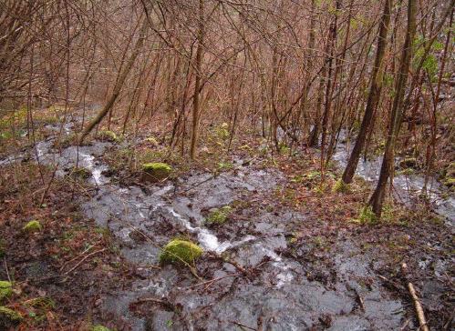 Por fin se van a restaurar algunos cauces del valle de Gillon