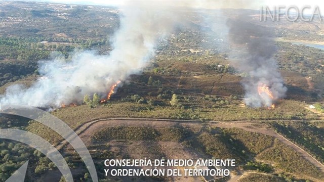 Estabilizado un incendio forestal declarado en El Ronquillo (Sevilla)