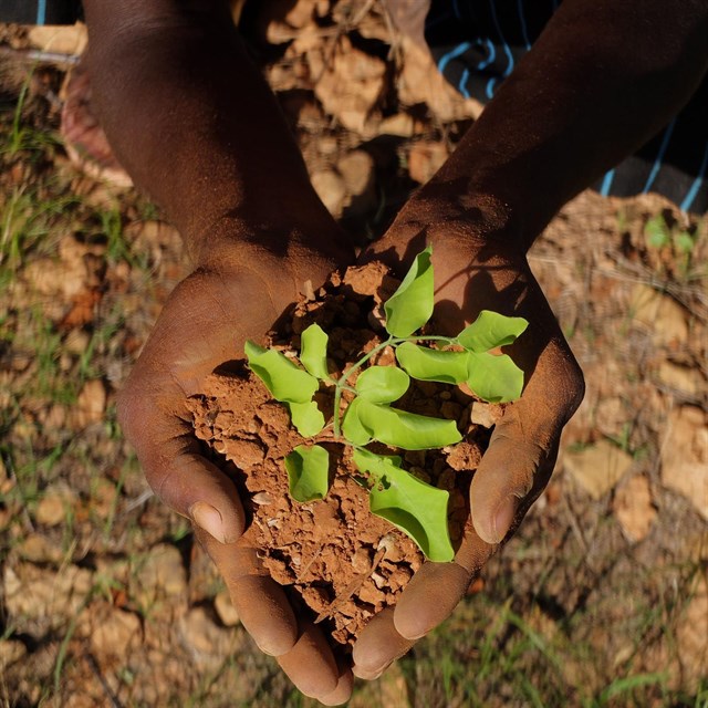 Educación para la sostenibilidad del Planeta