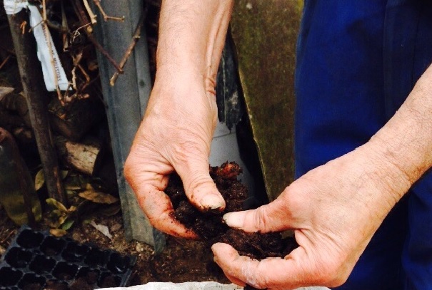 Licitación planta compostaje Sogama (Galicia)