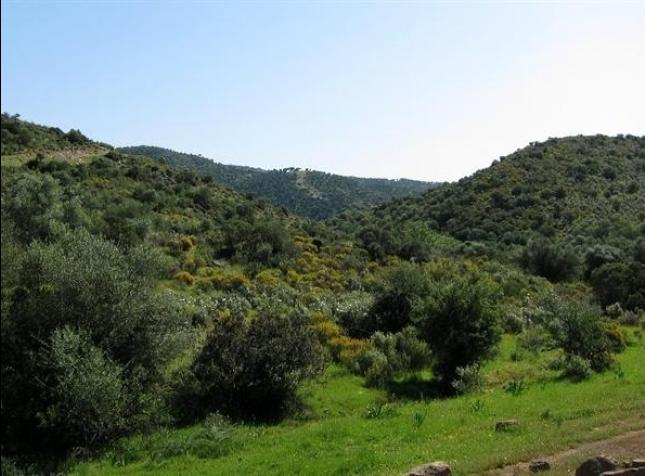 La Junta renueva la planificación socieconómicade once parques naturales andaluces