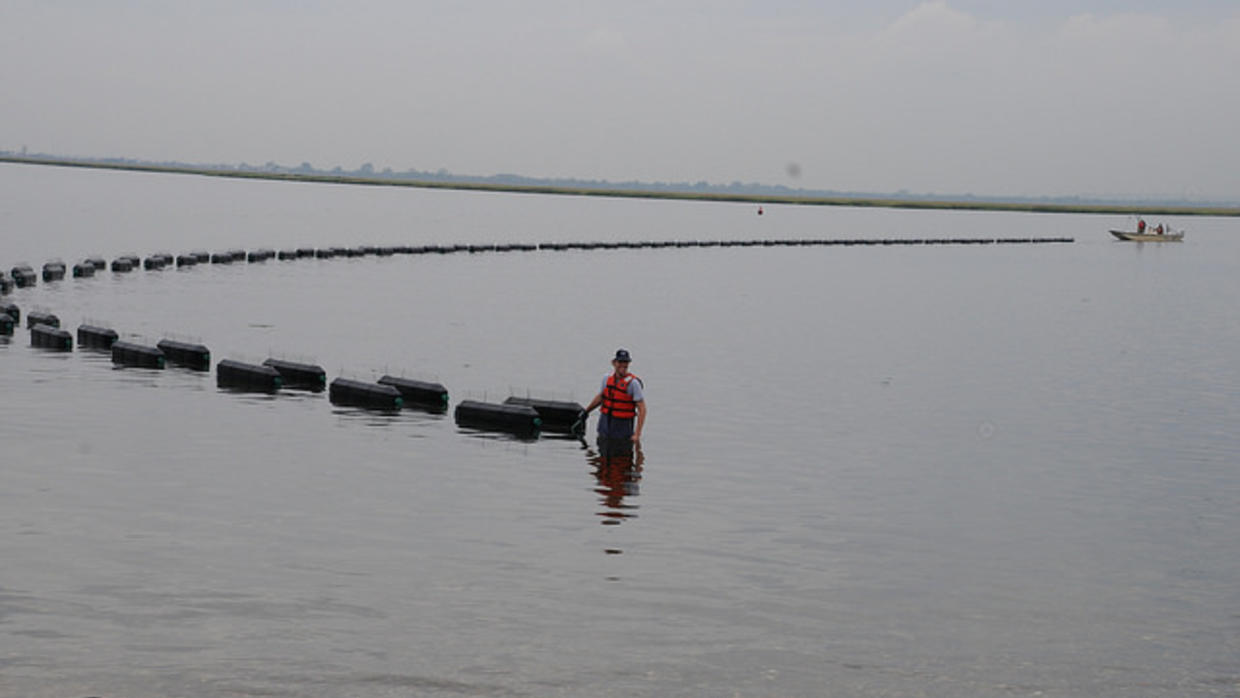 Recuperando las ostras en el puerto de Nueva York