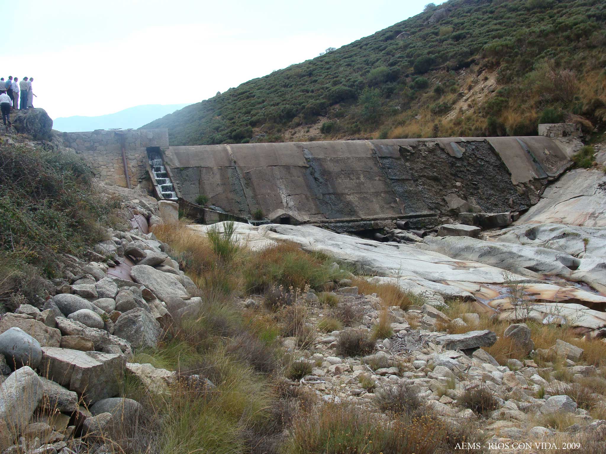 El Consejo de Estado aboga por la eliminación de la presa de Barbellido