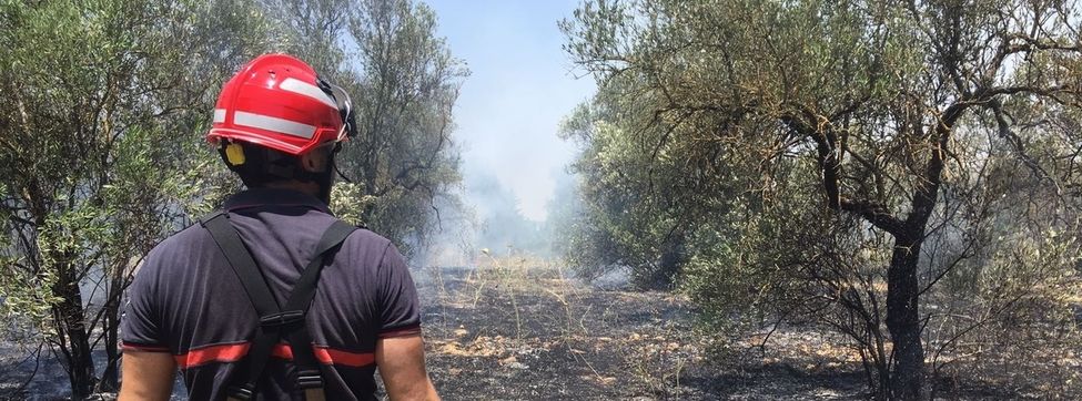 Fomento defiende el "potente" dispositivo de la Junta y señala que este se han producido 2.400 incendios