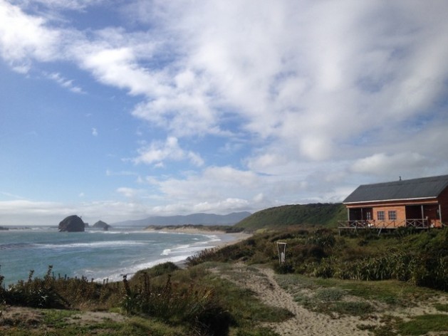 La conservación ciudadana suma más de 300 iniciativas en Chile