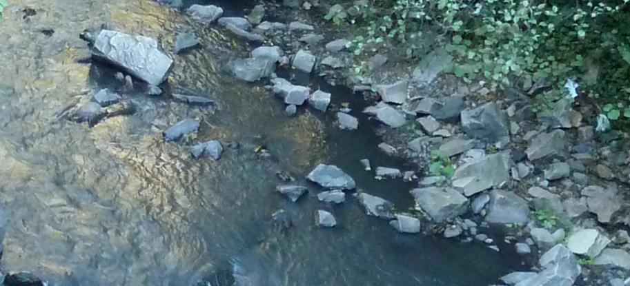 La Coordinadora Ecoloxista d’Asturies ha denunciado los continuos vertidos ilegales que se viene produciendo al río Gera