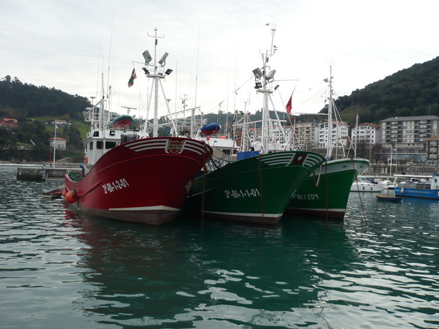 EQUO Euskadi reclama un giro en la política pesquera y la creación de áreas marinas protegidas