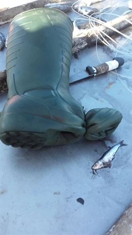 Denuncian a la flota de arrastre en Conil (Cádiz)