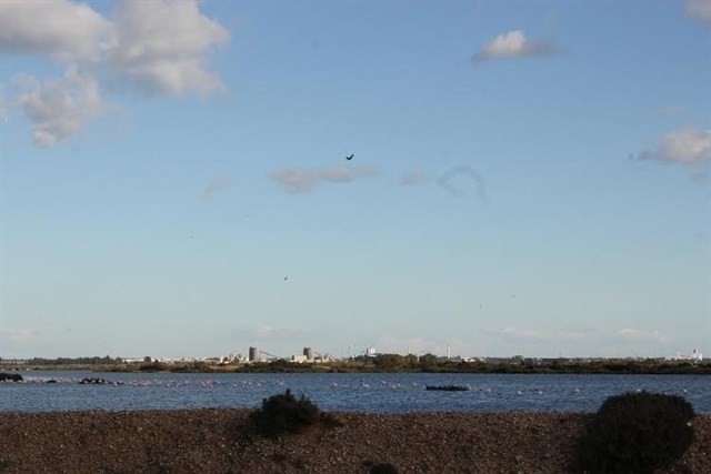 Luz verde a la ampliación de la Reserva de la Biosfera de las Marismas del Odiel