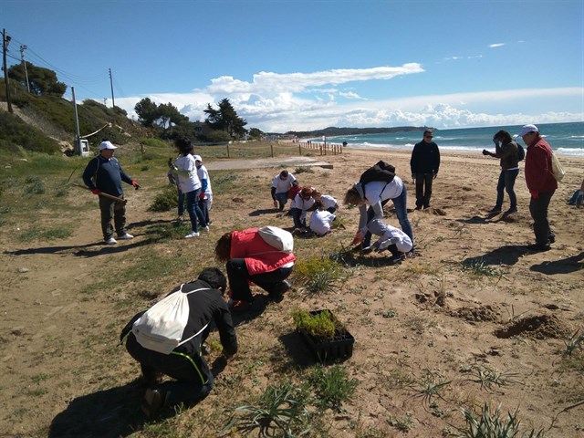 Voluntarios de Gas Natural Fenosa limpian la playa Larga de Tarragona