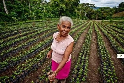 Intermón Oxfam lanza el primer café de comercio justo