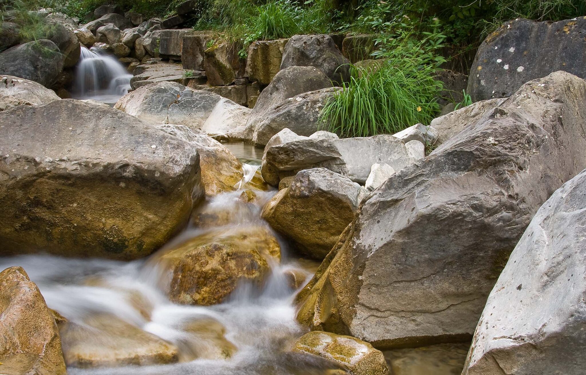 El Proyecto Ríos ha iniciado la campaña de otoño 2010