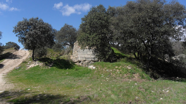 Andalucía autoriza la caza en la finca pública Cabeza Aguda