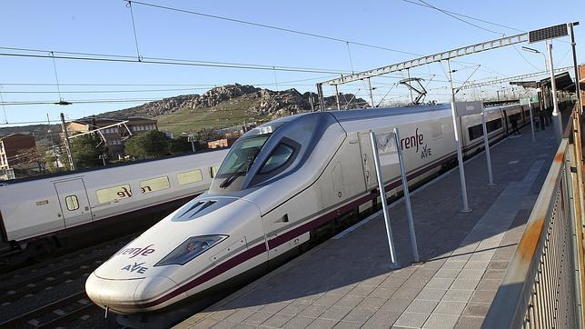 El tren AVE Sevilla-Almería no protege las aves adecuadamente