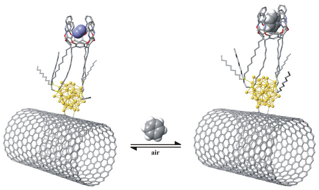 Revolucionario sensor portátil selectivo para benceno en aire