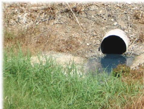 Sniace sigue contaminando